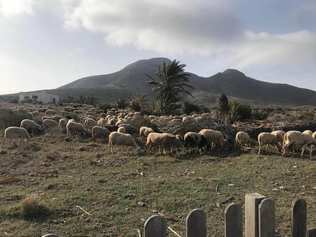 Bluemar Konuk evi Almería Dış mekan fotoğraf
